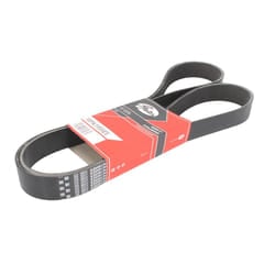 Cinghia Poly-V GATES 10PK1955ES