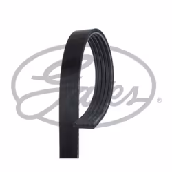 Colore: nero. Indice: GAT5PK875. Larghezza [mm]: 17,8. Lunghezza [mm]: 875. Materiale: Poliestere, EPDM (Etilene-Propilene-Di ...