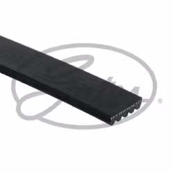 Cinghia Poly-V GATES 5PK875