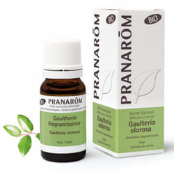 Pranarom Gaulteria Odorosa Olio Essenziale Biologico 10ml