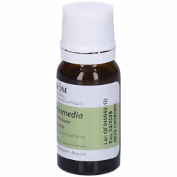 Pranarom Lanvandino Olio Essenziale Biologico 10ml - Vista aggiuntiva 4