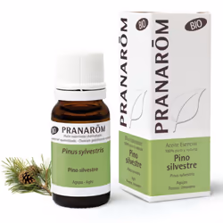 Pranarom Pino Silvestre Olio Essenziale Biologico prodotto puro e naturale, oli essenziali di altissima qualità, migliore sul ...