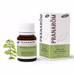 Acquista online Pranarom Menta Campestre Olio Essenziale Biologico realizzati da Pranarom, produttore belga di elevata qualit ...