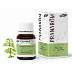 Pranarom Menta Campestre Olio Essenziale Biologico 10ml