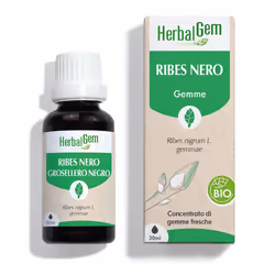 Pranarom Lentisco Olio Essenziale Biologico 5ml