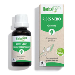 Pranarom Lentisco Olio Essenziale Biologico 5ml