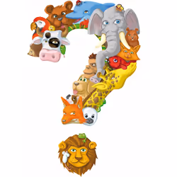Asmodee CONFR02 gioco da tavolo - Vista aggiuntiva 4
