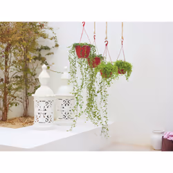 Artevasi Algarve Hanging Basket Antracite 5 pz - Vista aggiuntiva 6