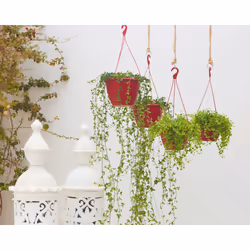 Artevasi Algarve Hanging Basket Antracite 5 pz - Vista aggiuntiva 7