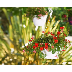 Artevasi Algarve Hanging Basket Antracite 5 pz - Vista aggiuntiva 8