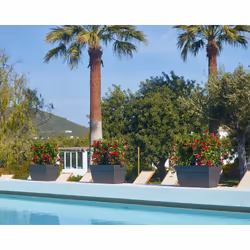 Artevasi Capri Xl Plant Box Antracite 2 pz - Vista aggiuntiva 8