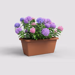 Artevasi Venezia Xl Plant Box 2 pz