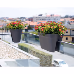 Artevasi Capri Balcony Plant Box Antracite 6 pz - Vista aggiuntiva 7