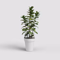 Artevasi Capri High Pot Bianco 4 pz