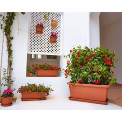 Artevasi Venezia Xl Plant Box Rosso 4 pz - Vista aggiuntiva 4