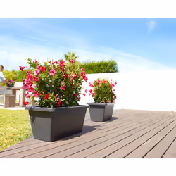 Artevasi Venezia Xl Plant Box Rosso 4 pz - Vista aggiuntiva 6
