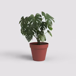 Artevasi Capri Pot Rosso 4 pz