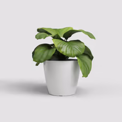 Artevasi San Remo Pot Bianco 4 pz