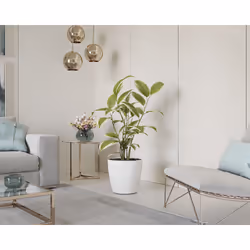 Artevasi San Remo Pot Bianco 4 pz - Vista aggiuntiva 6