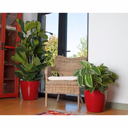 Artevasi San Remo Pot Bianco 4 pz - Vista aggiuntiva 7