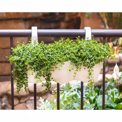 Artevasi Capri Balcony Triple Pot Bianco 4 pz - Vista aggiuntiva 6