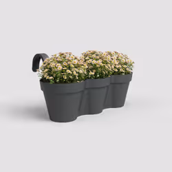 Artevasi Capri Balcony Triple Pot Antracite 4 pz