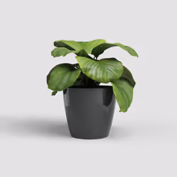 Artevasi San Remo Pot Antracite 4 pz