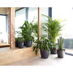 Artevasi San Remo Pot Antracite 4 pz
