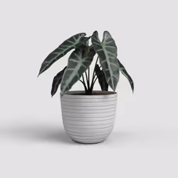 Artevasi Havana Horizon Pot Grigio 1 pz