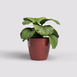Artevasi San Remo Pot Rosso 2 pz