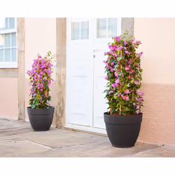 Artevasi Capri Campana Pot Bianco 6 pz - Vista aggiuntiva 6