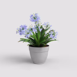 Artevasi Capri Campana Pot Grigio 6 pz