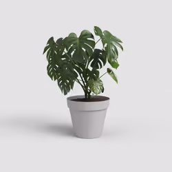 Artevasi Capri Pot Grigio 12 pz