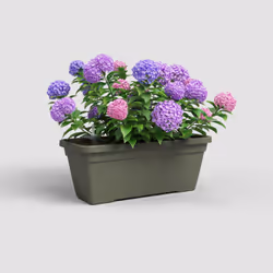 Artevasi Venezia L Plant Box Sws Verde 4 pz