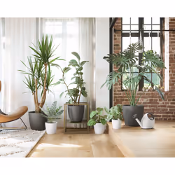 Artevasi San Remo Pot Matte Bianco 6 pz