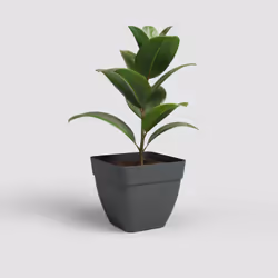 Artevasi Capri Campana Square Pot Antracite 2 pz