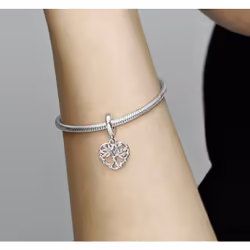 Pandora 799149C00 ciondolo e charm Famiglia e amici Argento Sterling - Vista aggiuntiva 4