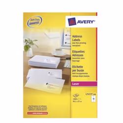 Avery L7173-100 etichetta per corrispondenza Etichetta autoadesiva Bianco