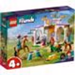 LEGO Friends 41746 Addestramento Equestre, Scuderia Cavalli Giocattolo e Mini Bamboline, Cura degli