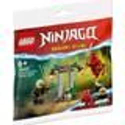 LEGO NINJAGO 30650 Battaglia nel tempio di Kai e Rapton 1 St