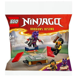 LEGO Torneo: campo di allenamento 1 St