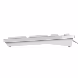 DELL KB216 tastiera Universale USB AZERTY Francese Bianco