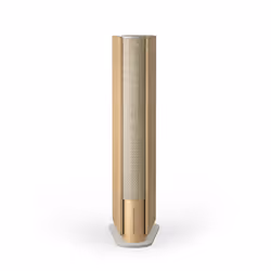 Bang & Olufsen Beosound Emerge Marrone Con cavo e senza cavo