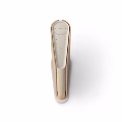 Bang & Olufsen Beosound Emerge Marrone Con cavo e senza cavo
