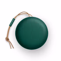 Bang & Olufsen Beosound A1 2nd Gen Altoparlante portatile stereo Verde 5 W