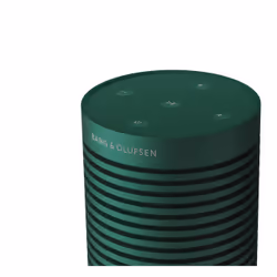 Bang & Olufsen BeoSound Explore Verde 60 W - Vista aggiuntiva 5