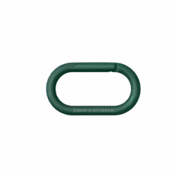 Bang & Olufsen BeoSound Explore Verde 60 W - Vista aggiuntiva 8