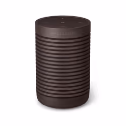 Bang & Olufsen BeoSound Explore Marrone 60 W