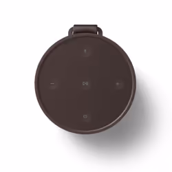 Bang & Olufsen BeoSound Explore Marrone 60 W