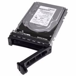 DELL W02FT, 480 GB, 2.5"